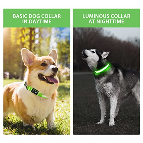 Light up Dog Collar (Green / L(19 inch-23.6 inch))