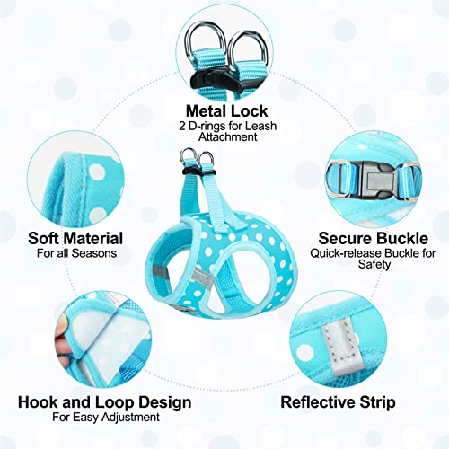Small Dog Harness and Leash Set (XSmall(Chest Girth 13" - 14.5") / Blue Polka Dots)