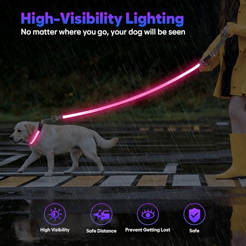 4 Ft Multi Color Light up Dog Leash (4 FT (Gray))