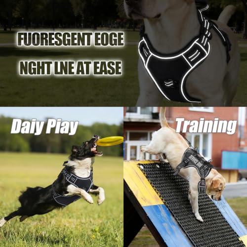 Dog Harness and Leash Set for Medium Dogs (Black / M)