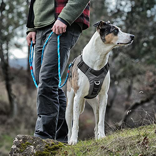 Journey Air Dog Harness (Medium / Black)