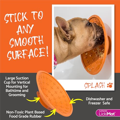 Splash Slow Feeder Bowl Lick Mat for Dogs (Turquoise)