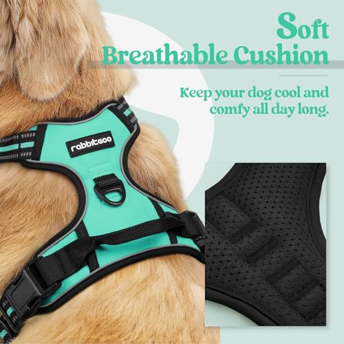 Dog Harness No Pull for Large Dogs with 2 Leash Clips (Large / Turquoise)