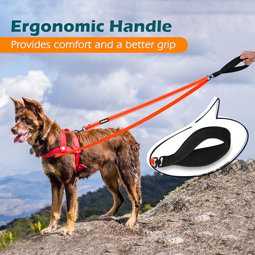 Two Point Control Dog Leash (Orange)