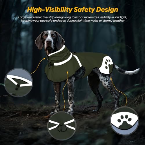 Dog Raincoat for Large Dogs (Green / Large)