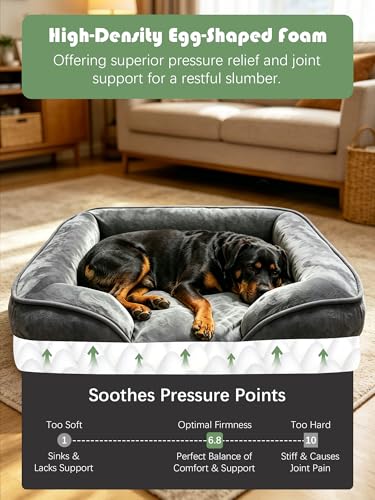 Orthopedic Dog Bed with Sides (42.0"L x 32.0"W x 6.5"Th / Dark Grey)