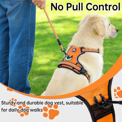 Dog Harness for Medium Sized Dog (Orange / Medium)