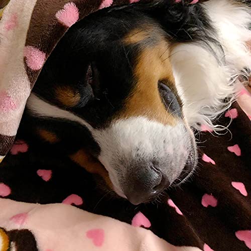 Snuggle Puppy Essentials Starter Kit (Pink)