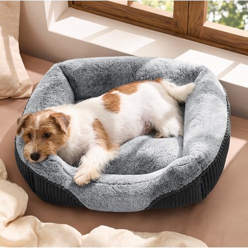 Washable Dog Bed Small Medium Size Dog Rectangle Pet Bed (Grey / 25"L x 21"W x 7"Th)