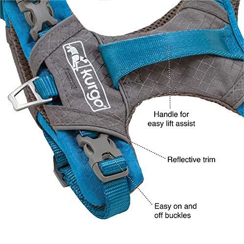 Journey Air Dog Harness (X-Large / Purple)
