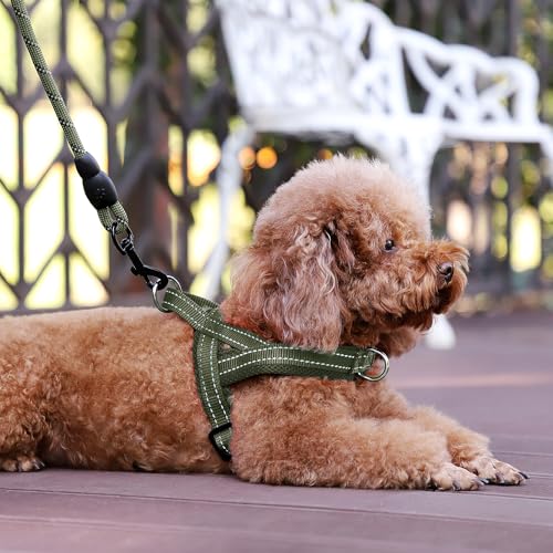 No Pull Dog Harness for Puppy Small Dogs (XS: chest 13.8"-17.3" / Ranger Green)