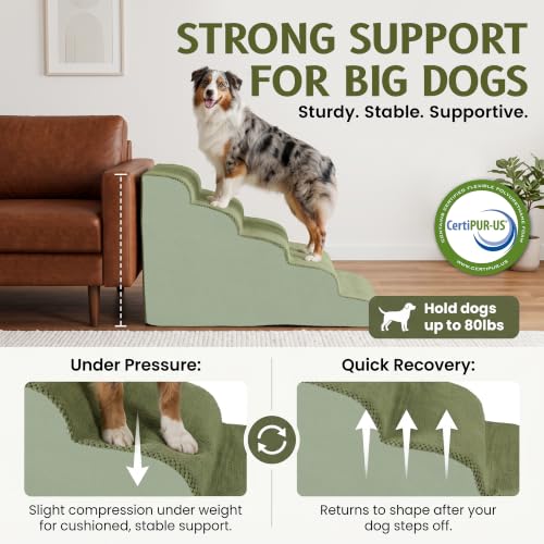 Extra Wide Dog Stairs for Large Dogs (Sage Green / Stairs- 25"H)