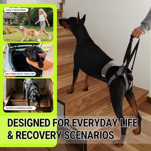 Dog Lift Harness (M / Grey)
