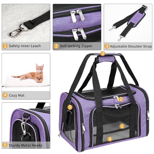 Soft Sided Cat (Purple / 17"L x 11"W x 11"H)
