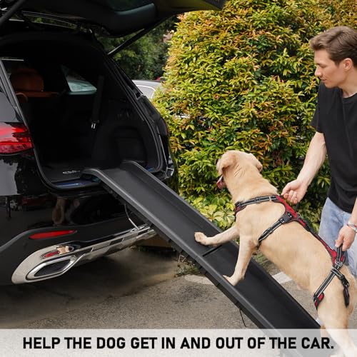 Mobility Dog Lift Harness (Red / L)
