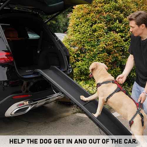 Mobility Dog Lift Harness (Red / XXL)
