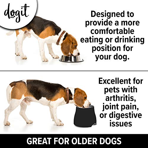 Elevated Dog Bowl (Small / Black)