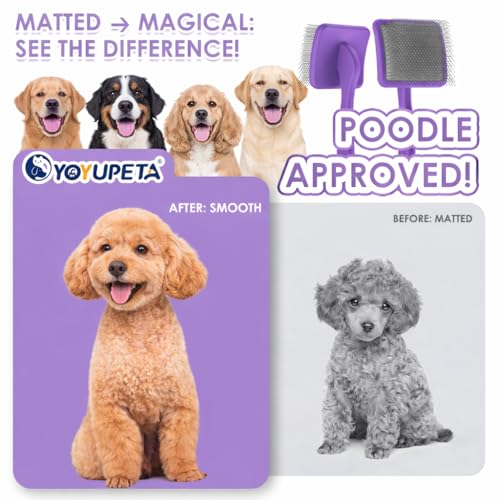 Large Dog 3 in 1 Grooming Kit (Purple)