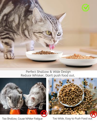 No Spill Cat Bowls (Deeper-3 Pack)