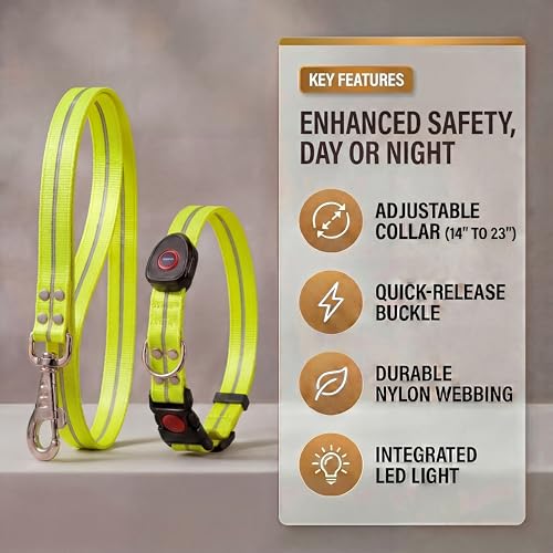 LED Dog Collar & 4 Foot Leash (Yellow)
