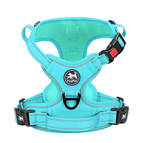 No Pull Dog Harness (S / Mint Blue(Matching Trim))