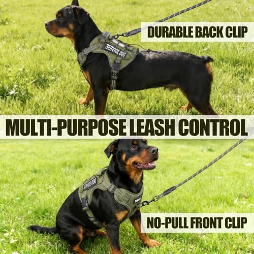 Dog Harness and Leash Set for Medium Dogs (Army Green / M)