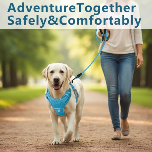 No Pull Dog Harness for Medium Sized Dogs (Medium(Chest:22.5-28") / Ocean Blue)