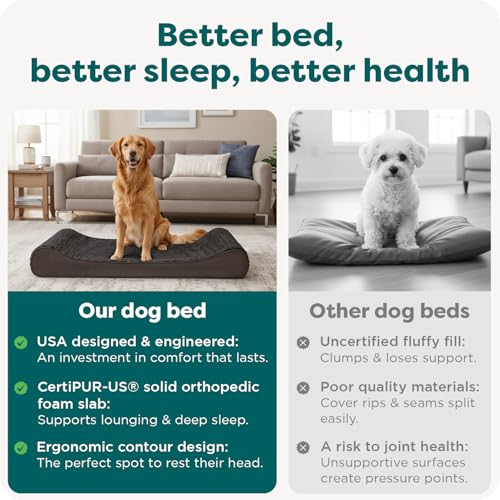 Ultra Plush & Suede Luxe Lounger Orthopedic Pet Bed (Jumbo Plus/XXL / Chocolate)