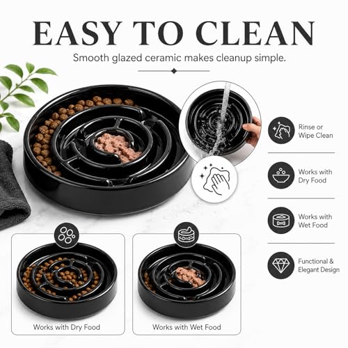 Ceramic Slow Feeder Dog Bowl (Black)