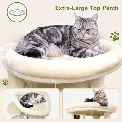 66inch Corner Cat Tree Tower for Indoor Large Cats (66inch / Beige)
