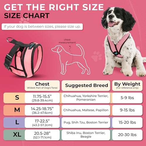 Comfort X Head (Large Chest (17-22.5") / Pink)