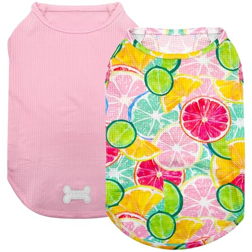 2Pack Dog Shirts for Small Dogs Breathable Mesh Tank Top (Medium (7-13lbs) / 4# 2Pack (Lemon+Pink))