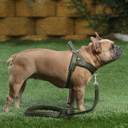 No Pull Dog Harness for Medium Sized Dog (M: chest 19.7"-25.2" / Ranger Green)