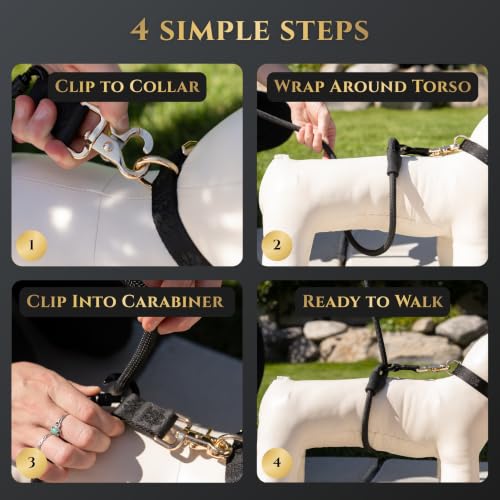 No Pull Hand Free Dog Leash with Wrap (Black / Large)