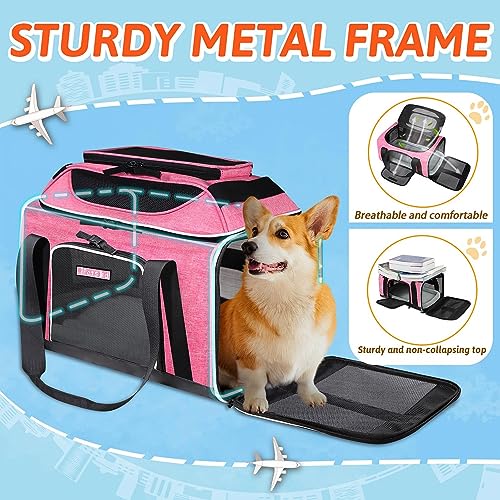 Top Expandable Small Pet Carrier 18"x13"x9.5" Airline Approved (18.0"L x 13.0"W x 9.5"H / Pink)