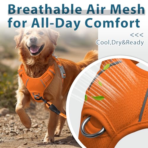 Dog Harness No Pull with ID Tag Pocket (X-Large(Chest:30-38”) / Orange)