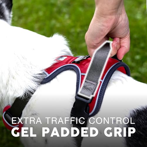 Embark No Pull Dog Harness (L / Red)