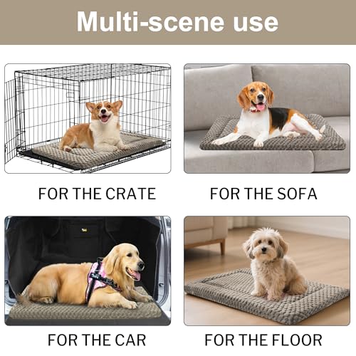 Dog Bed Crate Mat (S(24"*18"*1.5") / Light Gray-1pc)