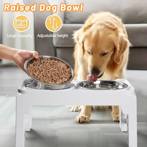 Elevated Dog Bowls with 2 Stainless Steel Dog Food & Water Raised Bowls with No Spill Edge Non (S (6" for Small Dogs) / White)