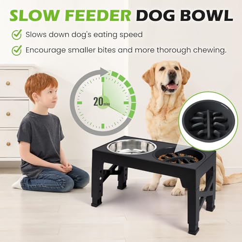 Elevated Dog Bowls with 5 Adjustable Heights Stand (Black)