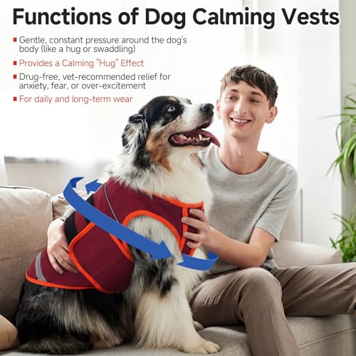 Dog Anxiety Vest (Red / M(Chest: 24.4 inch))