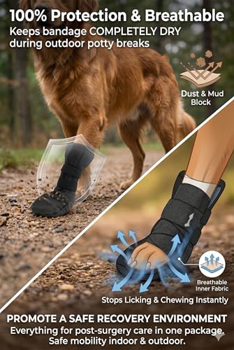 Dog Paw Wound Recovery Boot with Self (M)