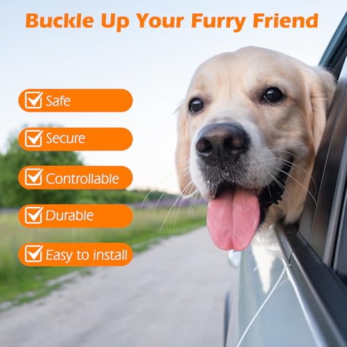 Dog Seat Belt for Car (Orange / 1 Pack)