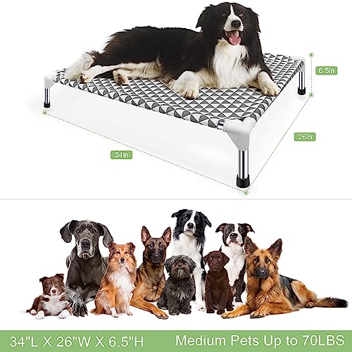 Elevated Outdoor Dog Bed (4 sided Medium)