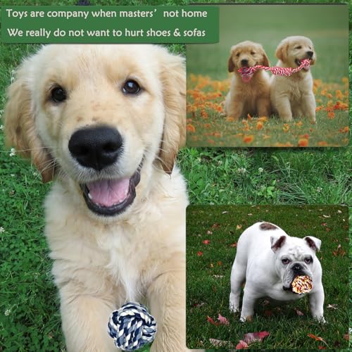 Small Dog Rope Toys