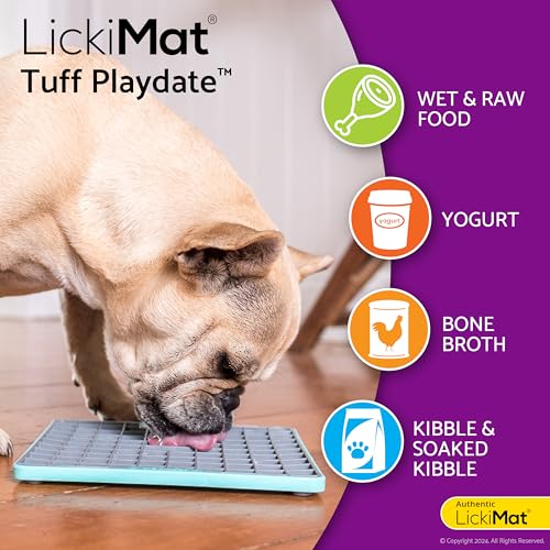 Tuff, Heavy-Duty Playdate, Dog Slow Feeder Lick Mat, Boredom Anxiety Reducer; Perfect for Food, Treats, Yogurt, or Peanut Butter, Fun Alternative to a Slow Feed Dog Bowl, Turquoise (Turquoise)
