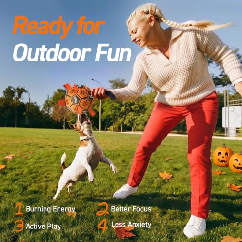 Halloween Dog Toys (Halloween / 6 Inch)