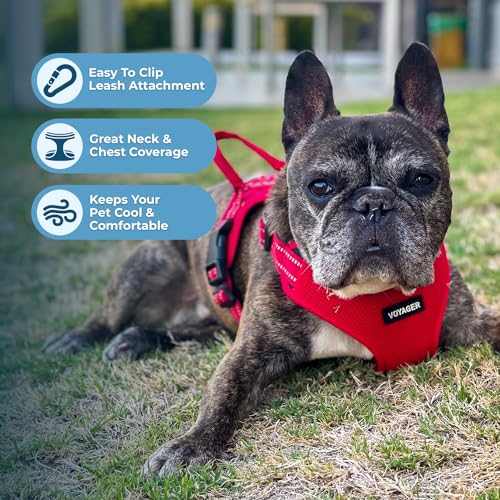 Voyager Step in Flex Adjustable Dog Harness (Harness (Red) / M)