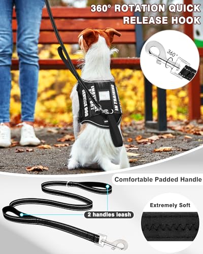 Service Dog Vest Harness and Leash Set+10 Patches for Puppy Small Dogs (Extra-Small / Black)