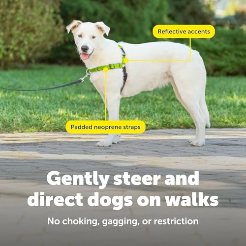 Deluxe Easy Walk No Pull Dog Harness (Medium/Large / Apple Green)